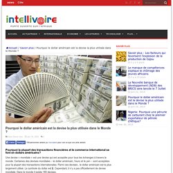 Pourquoi le dollar américain est la devise la plus utilisée dans le Monde ?