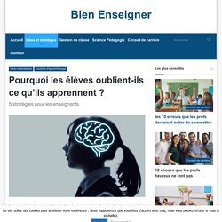 bienenseigner