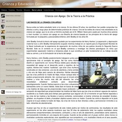 Crianza y Educación Consciente : Crianza con Apego: De la Teoría a la Práctica