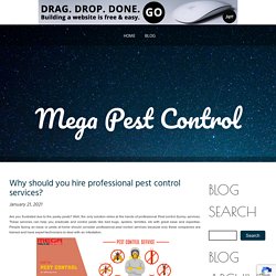 Why should you hire professional pest control services?