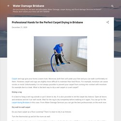 Professional Hands for the Perfect Carpet Drying in Brisbane