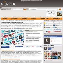 L'usage professionnel des réseaux sociaux autour de l'image