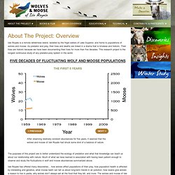 The Wolves and Moose of Isle Royale