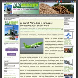 Le projet Alpha Bird : carburant écologique pour avions verts