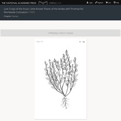 Lost Crops of the Incas: Little-Known Plants of the Andes with Promise for Worldwide Cultivation