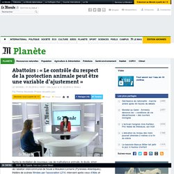 Abattoirs : « Le contrôle du respect de la protection animale peut être une variable d’ajustement »