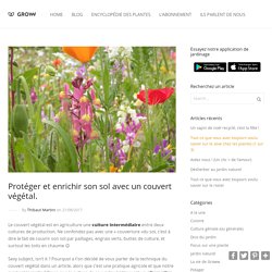 Protéger et enrichir son sol avec un couvert végétal. - Groww