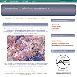-Husserl: La phénoménologie et les arbres en fleur