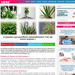 6 plantes qui purifient naturellement l’air de votre maison !