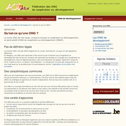 Qu'est-ce qu'une ONG ?