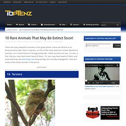 Top 10 Rare Animals