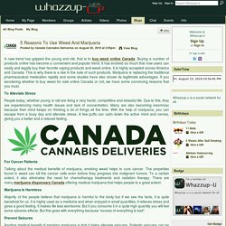 5 Reasons To Use Weed And Marijuana