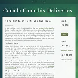 5 Reasons To Use Weed And Marijuana