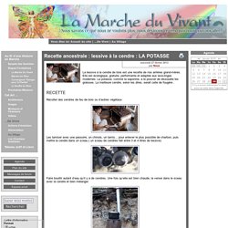 [LA MARCHE DU VIVANT] Recette ancestrale : lessive à la cendre : LA POTASSE