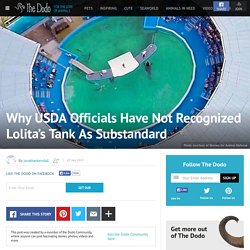 Why USDA Officials Have Not Recognized Lolita’s Tank As Substandard