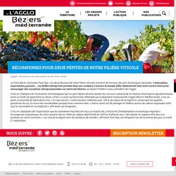 Récompenses pour deux pépites de notre filière viticole - Béziers méditerranée, mon agglo mon avenir