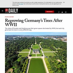 Regrowing Germany's Trees After WWII