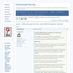 CommunautéSLA.org / Gène APOE4 et réparation neuronale