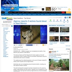 Agency reports 2 wolves found dead in New Mexico