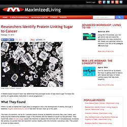 Researchers Identify Protein Linking Sugar to Cancer
