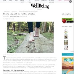 How to align to the rhythms of nature in an urban environment