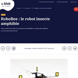 RoboBee : le robot insecte amphibie