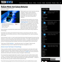 Robots Mimic Ant Colony Behavior