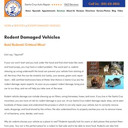 Rodent Damaged Vehicles - Water Star Motors, Inc.