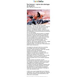 Îles Salomon : reprise des abattages de dauphins