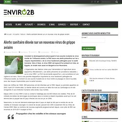 Alerte sanitaire élevée sur un nouveau virus de grippe aviaire