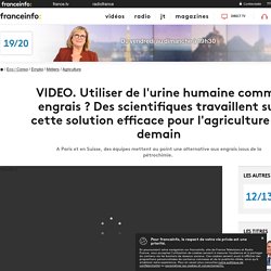 Utiliser de l'urine humaine comme engrais ? Des scientifiques travaillent sur cette solution efficace pour l'agriculture de demain
