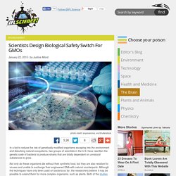 Scientists Design Biological Safety Switch For GMOs