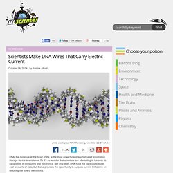 Scientists Make DNA Wires That Carry Electric Current