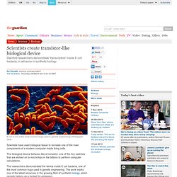 Scientists create transistor-like biological device