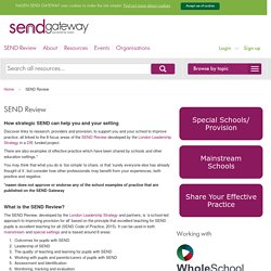 SEND Review