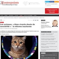 Les animaux, « êtres vivants doués de sensibilité » : la réforme inachevée