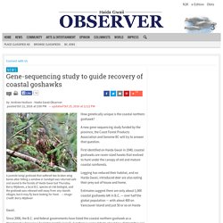Gene-sequencing study to guide recovery of coastal goshawks - News