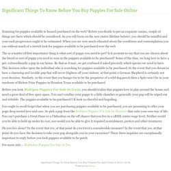 Significant Things To Know Before You Buy Puppies For Sale Online
