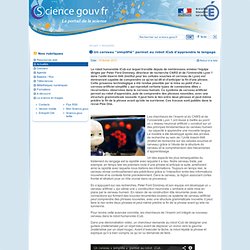 Un cerveau "simplifié" permet au robot iCub d’apprendre le langage