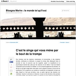 C’est le singe qui vous mène par le bout de la trompe