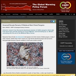 Snowmelt Reveals Remains Of Medieval Warm Period Penguins