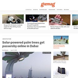Solar-powered palm trees get passersby online in Dubai
