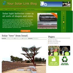 Solar “tree” from Israel. « Your Solar Link Blog