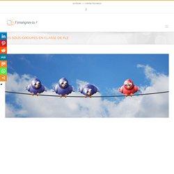 Les sous-groupes en classe de FLE - T'enseignes-tu ?