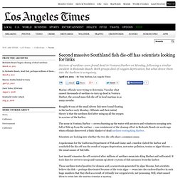 Fish die-off: Another massive Southern California fish die-off has scientists looking for links