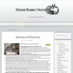 Spaying and Neutering
