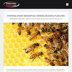 Starting Honey Beekeeping Farming Business Plan (PDF) - StartupBiz Global