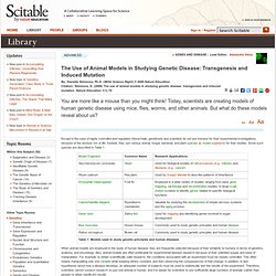 The Use of Animal Models in Studying Genetic Disease