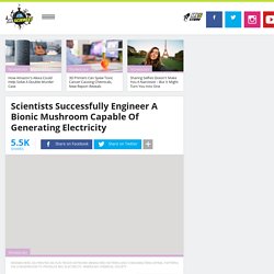 Scientists Successfully Engineer A Bionic Mushroom Capable Of Generating Electricity