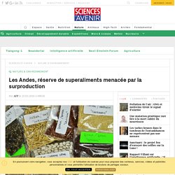 Les Andes, réserve de superaliments menacée par la surproduction